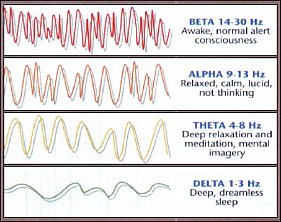 electroencephalography: Brainwave Patterns вЂ” Infoplease.com